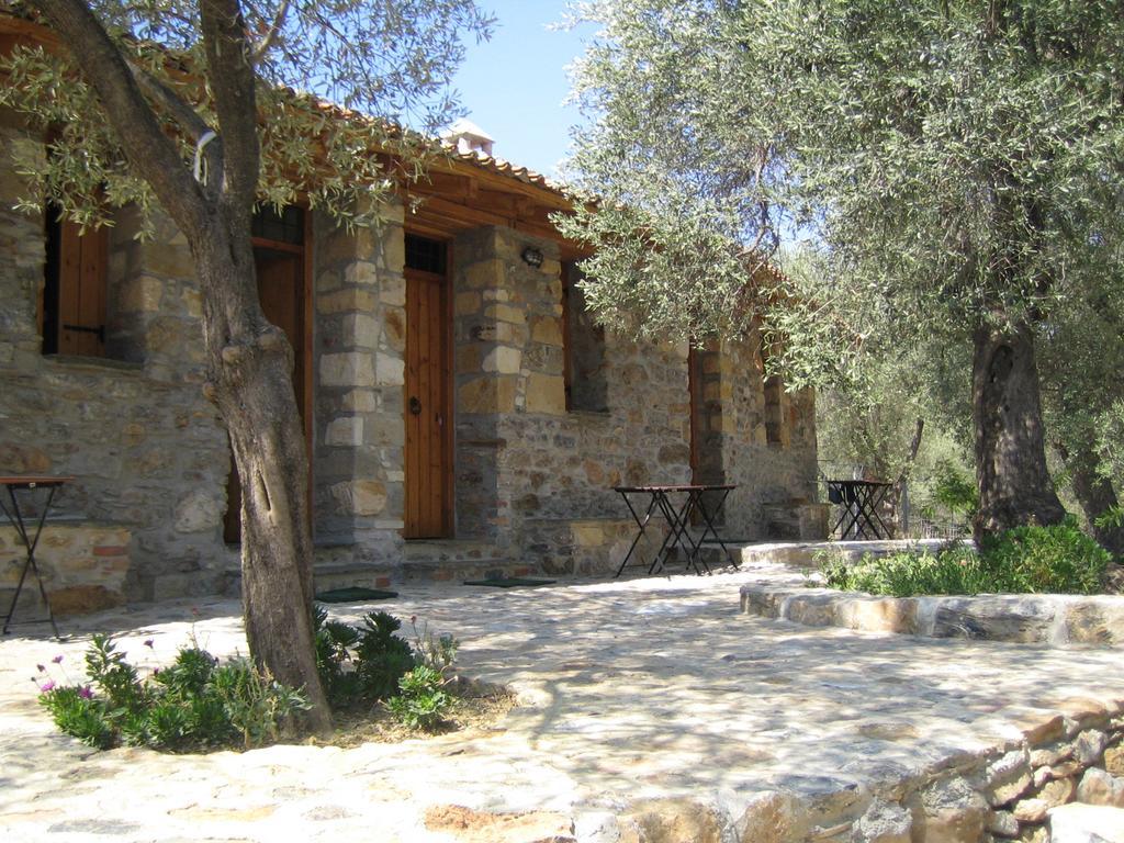 Gera's Olive Grove - Elaionas Lesvou