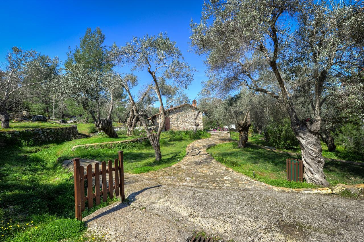 ελαιώνας της γέρας 3* Marmaro (Lesbos)