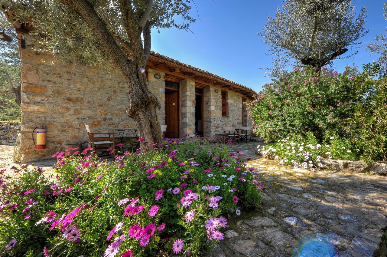 ελαιώνας της γέρας Πανσιόν